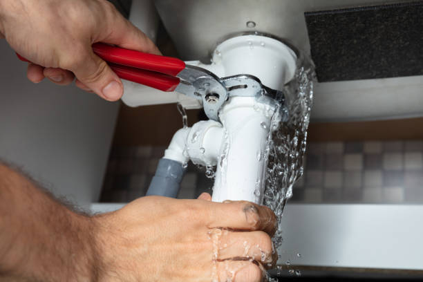 Best Mold removal after water damage  in Saratoga Springs, UT