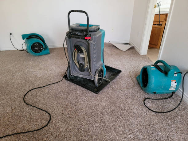 Best Water damage cleanup near me  in Saratoga Springs, UT