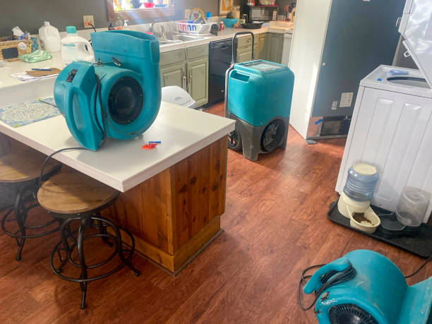 Best Water damage restoration near me  in Saratoga Springs, UT