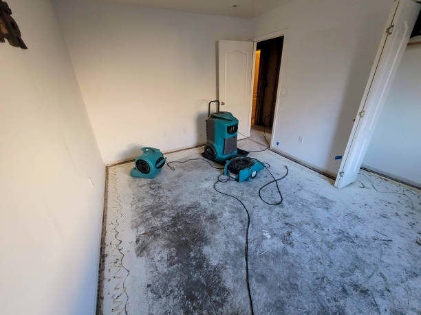 Best 24/7 water damage repair  in Saratoga Springs, UT