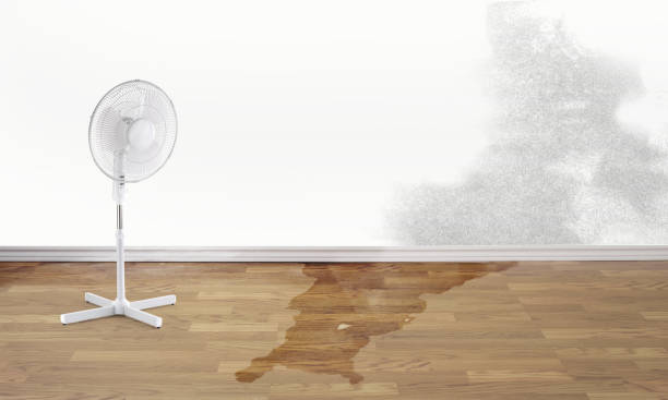Best Sewage cleanup and water damage restoration  in Saratoga Springs, UT