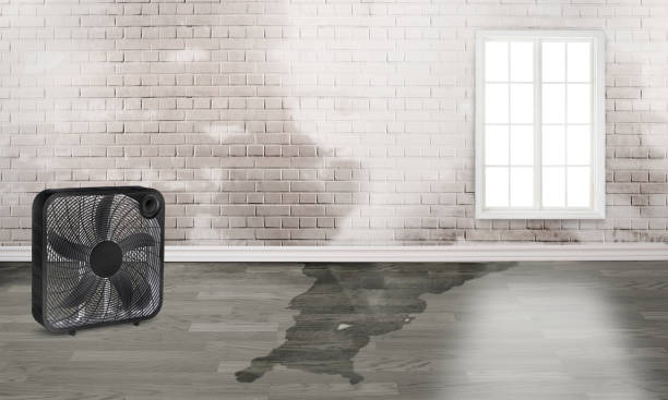 Best Emergency water damage restoration  in Saratoga Springs, UT